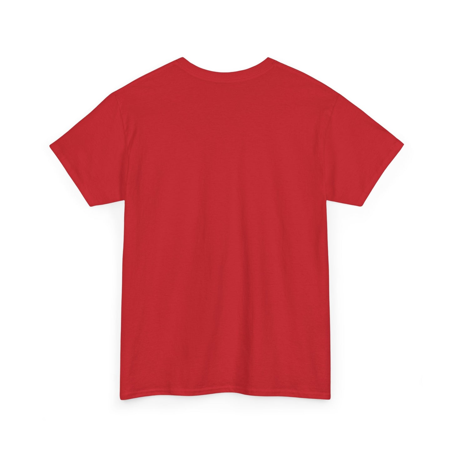Christian Inspiration Tee, Casual Unisex T-Shirt, Faith-Based Apparel, Everyday Wear, Christian Gift, Spiritual Style